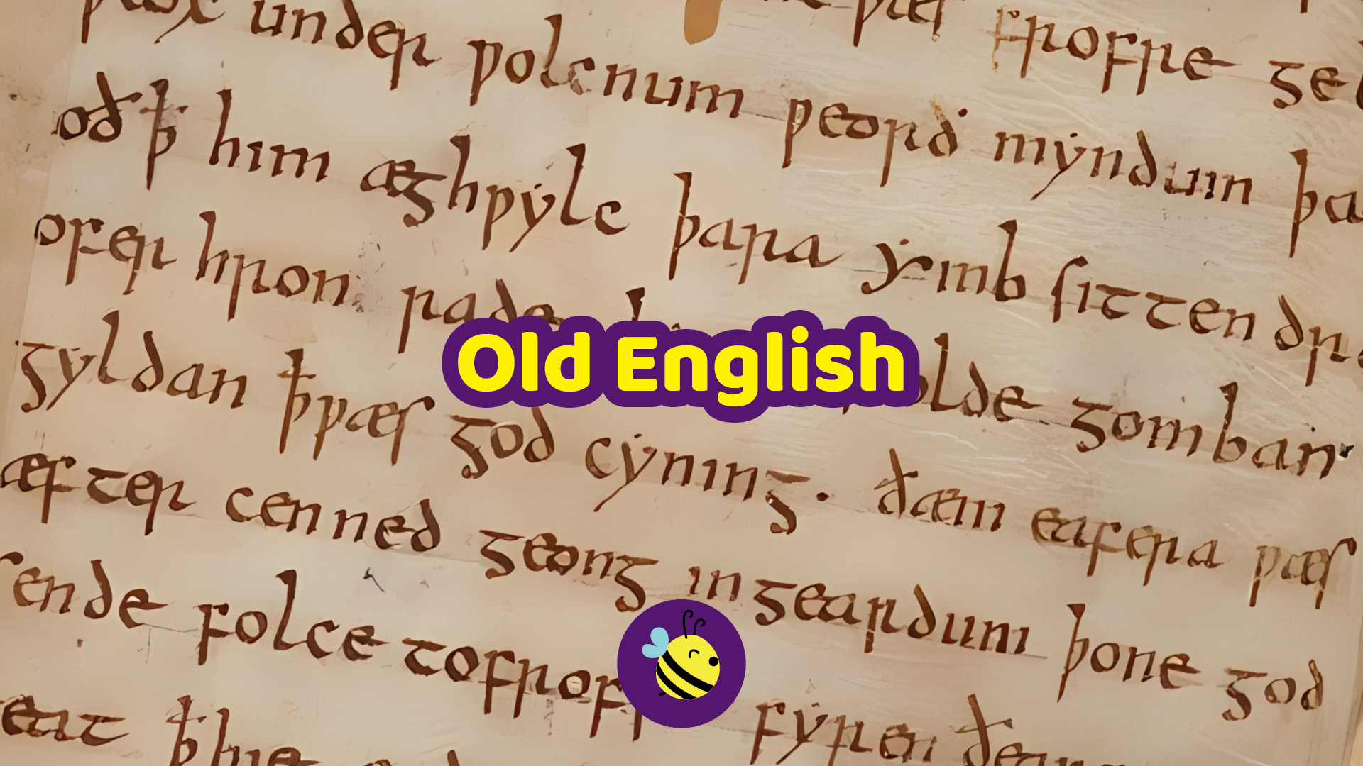 Estratto del manoscritto 