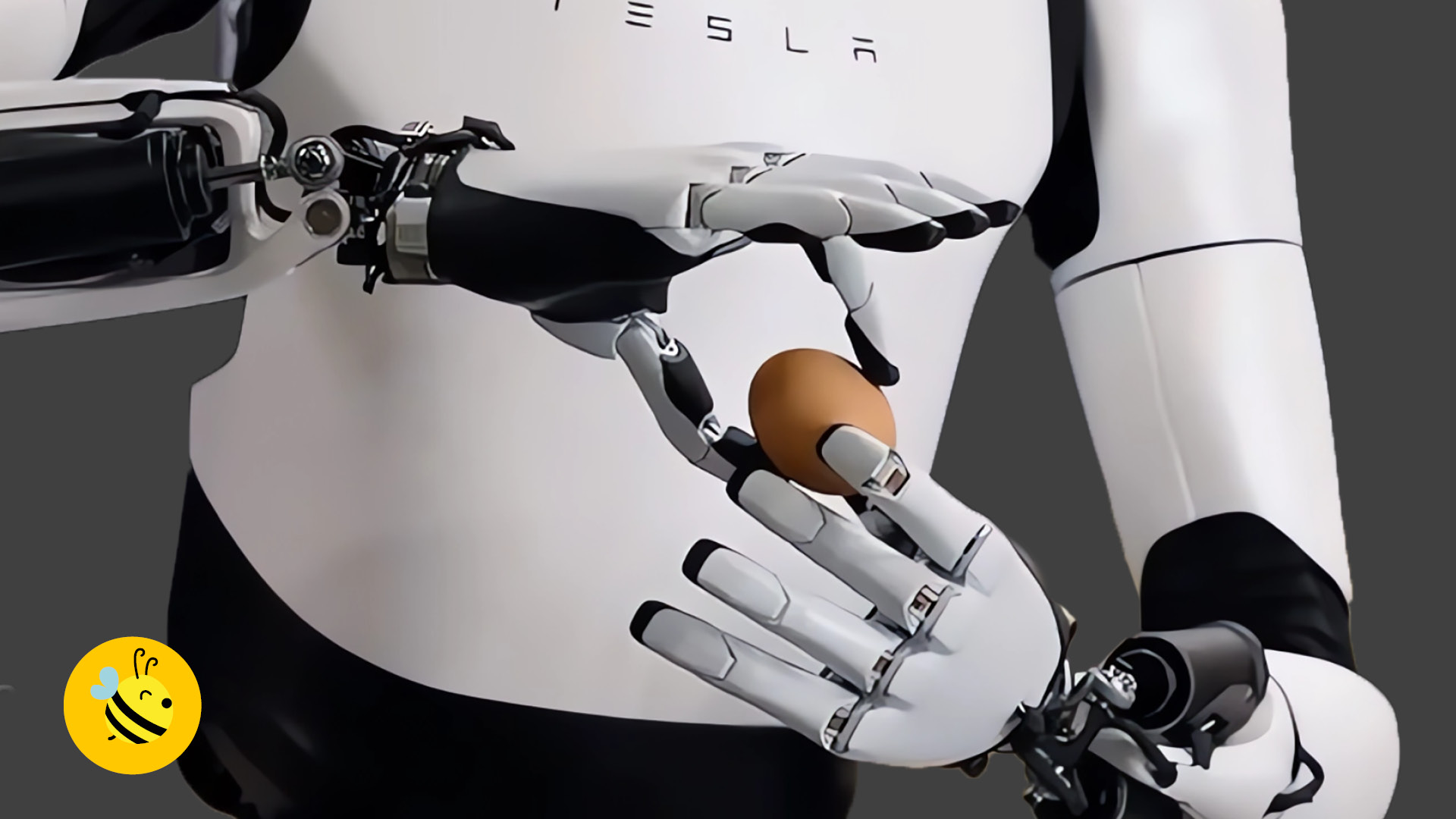 La manualità del robot umanoide Tesla Optimus è stata definita come seconda solo all'uomo!