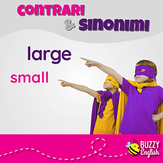 Large and small, non solo taglie di vestiti
