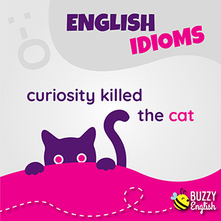 Curiosity killed the cat, quando la curiosità mette nei guai